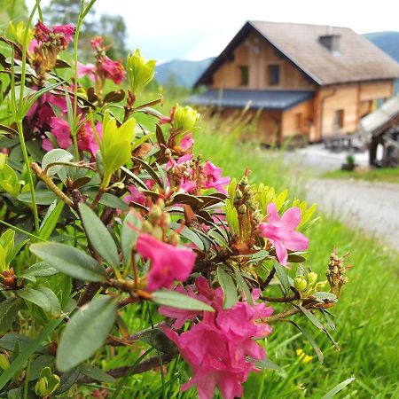 Almhuette Kristabauer Villa Predlitz Dış mekan fotoğraf