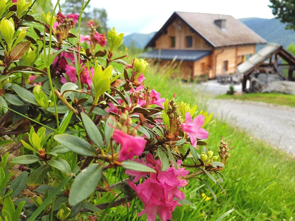 Almhuette Kristabauer Villa Predlitz Dış mekan fotoğraf