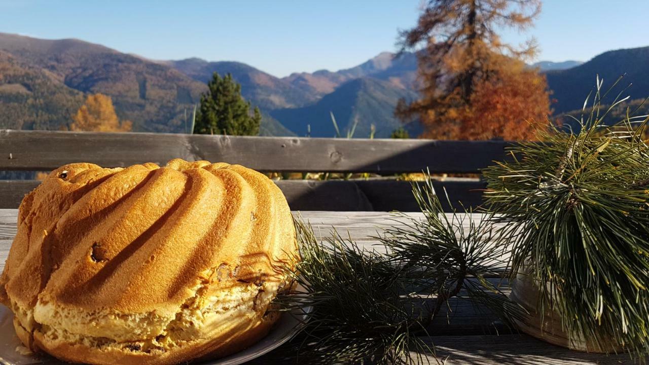 Almhuette Kristabauer Villa Predlitz Dış mekan fotoğraf